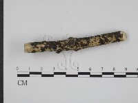 登錄號:F0003308藏品圖，第4張