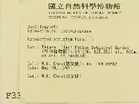 登錄號:F0003310藏品圖，第2張