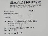 登錄號:F0003311藏品圖，第2張