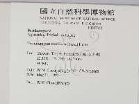 登錄號:F0003312藏品圖，第2張