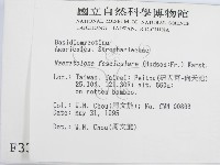 登錄號:F0003313藏品圖，第2張