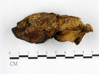 登錄號:F0003314藏品圖，第1張