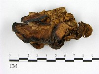 登錄號:F0003314藏品圖，第3張