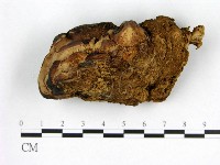 登錄號:F0003314藏品圖，第4張