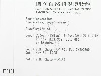 登錄號:F0003315藏品圖，第2張