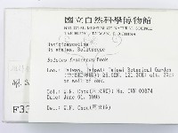 登錄號:F0003320藏品圖，第2張