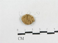 登錄號:F0003325藏品圖，第3張