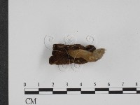 登錄號:F0003327藏品圖，第3張