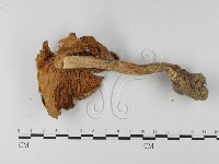 登錄號:F0003328藏品圖，第3張