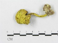 登錄號:F0003329藏品圖，第3張