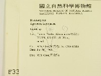 登錄號:F0003332藏品圖，第2張