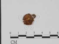 登錄號:F0003333藏品圖，第3張