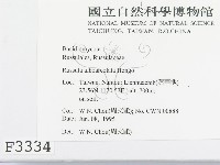 登錄號:F0003334藏品圖，第2張