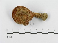 登錄號:F0003334藏品圖，第4張