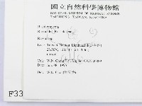 紅菇屬藏品圖，第2張