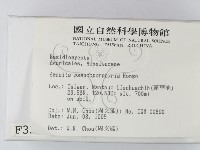 登錄號:F0003336藏品圖，第2張