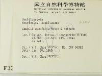 登錄號:F0003338藏品圖，第2張