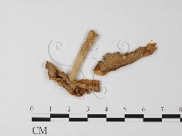 登錄號:F0003338藏品圖，第3張