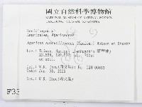 登錄號:F0003339藏品圖，第2張
