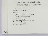 登錄號:F0003340藏品圖，第2張