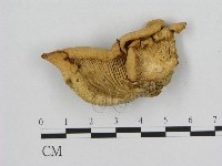 登錄號:F0003340藏品圖，第3張