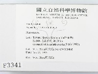 側耳屬藏品圖，第2張