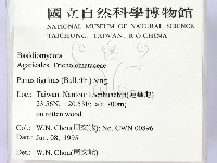 登錄號:F0003342藏品圖，第2張