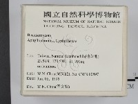 登錄號:F0003343藏品圖，第2張