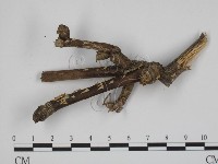 登錄號:F0003343藏品圖，第1張