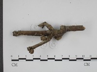 登錄號:F0003343藏品圖，第3張