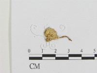 登錄號:F0003344藏品圖，第3張