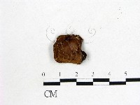 登錄號:F0003345藏品圖，第3張