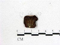 登錄號:F0003345藏品圖，第1張