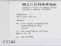 韌革菌屬藏品圖，第2張