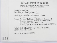 登錄號:F0003347藏品圖，第2張