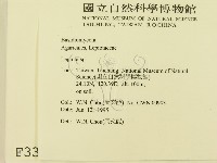 登錄號:F0003348藏品圖，第2張