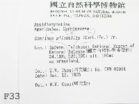登錄號:F0003349藏品圖，第2張