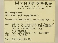 登錄號:F0003350藏品圖，第2張