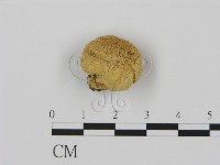 登錄號:F0003350藏品圖，第1張