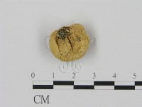 登錄號:F0003350藏品圖，第3張