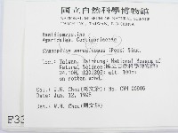 登錄號:F0003351藏品圖，第2張