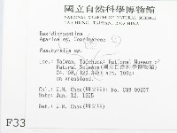 登錄號:F0003352藏品圖，第2張