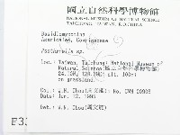 登錄號:F0003353藏品圖，第2張