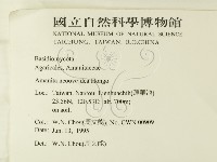 登錄號:F0003354藏品圖，第2張