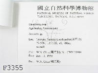 登錄號:F0003355藏品圖，第3張