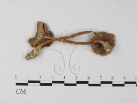登錄號:F0003357藏品圖，第1張