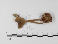 登錄號:F0003357藏品圖，第3張