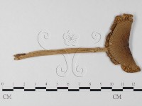 登錄號:F0003359藏品圖，第3張