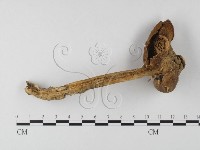 登錄號:F0003360藏品圖，第1張