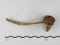 登錄號:F0003360藏品圖，第3張